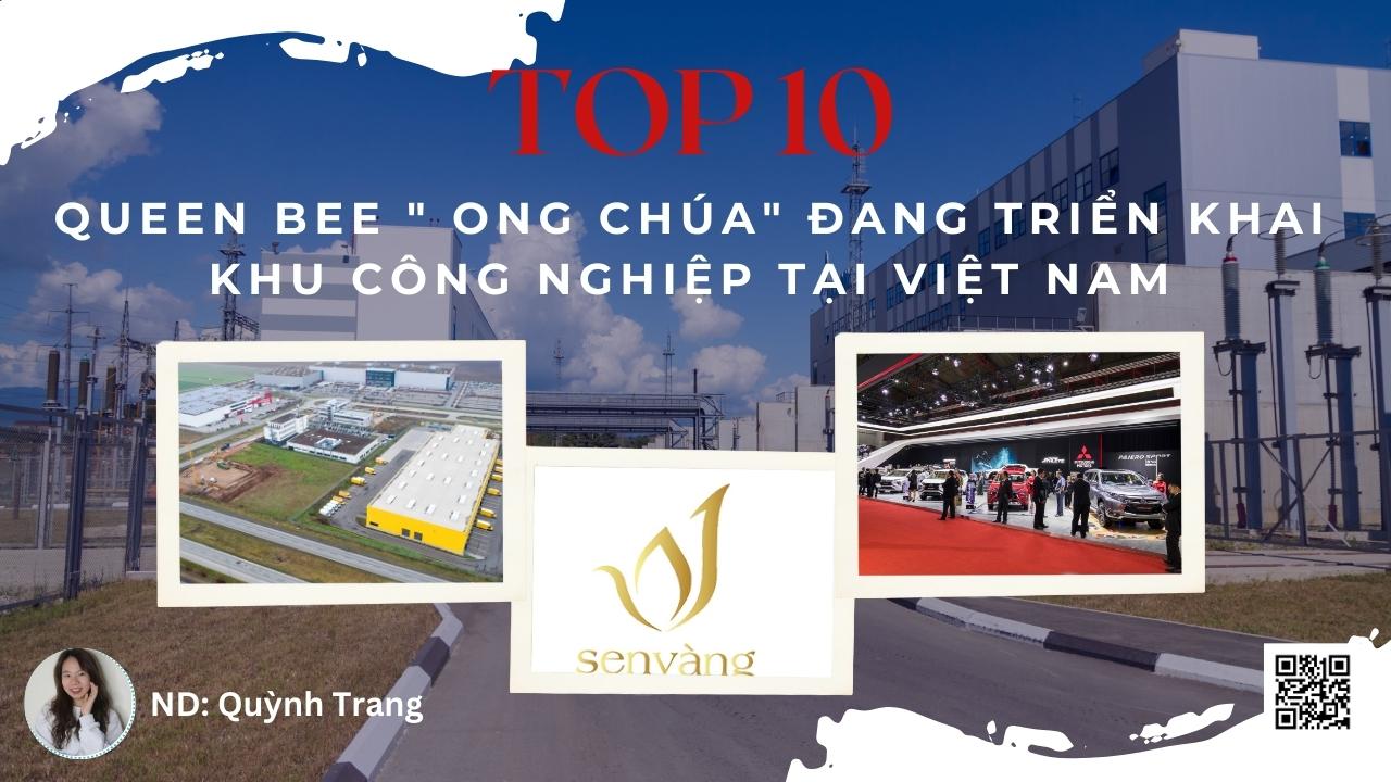 TOP 10 QUEEN BEE ” ONG CHÚA” đang triển khai khu công nghiệp tại Việt Nam